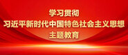 操老逼逼吧学习贯彻习近平新时代中国特色社会主义思想主题教育_fororder_ad-371X160(2)